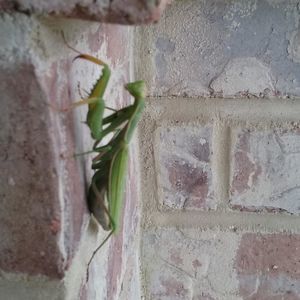 Meet your Posher, Sue